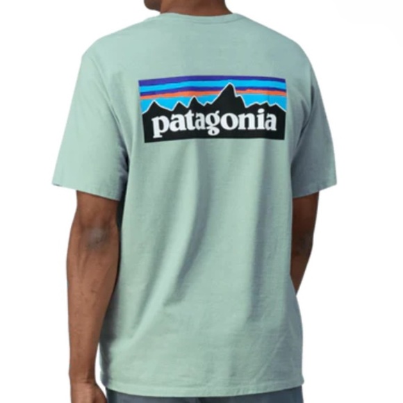 Patagonia P-6 Logo Responsibili-Tee-Wispy Green - Picture 4 of 12